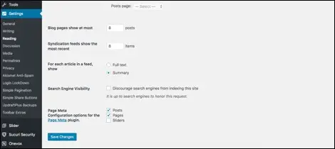 robot text settings in wordpress